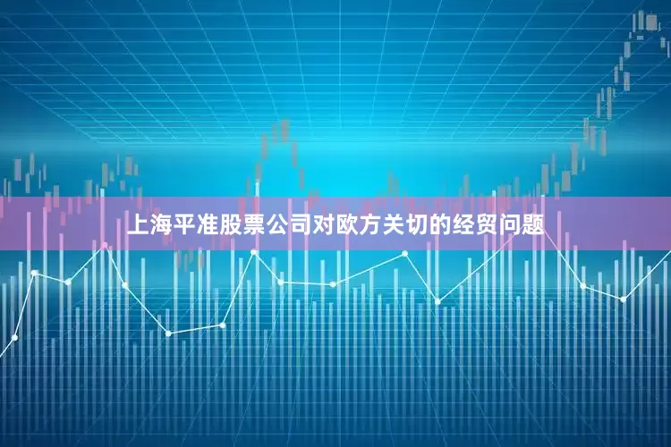 上海平准股票公司对欧方关切的经贸问题