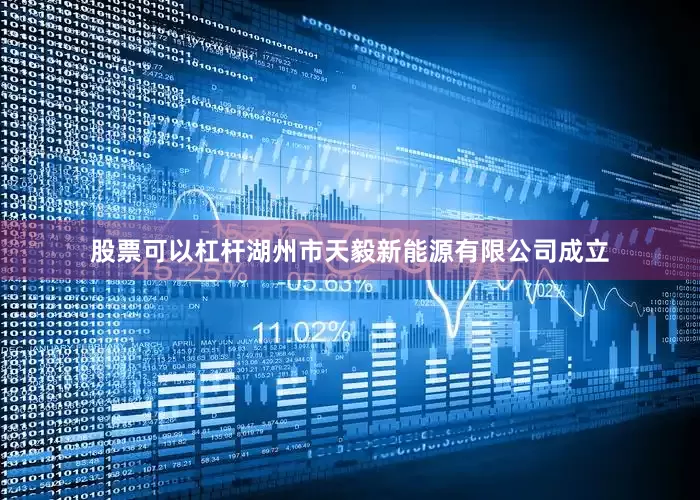 股票可以杠杆湖州市天毅新能源有限公司成立