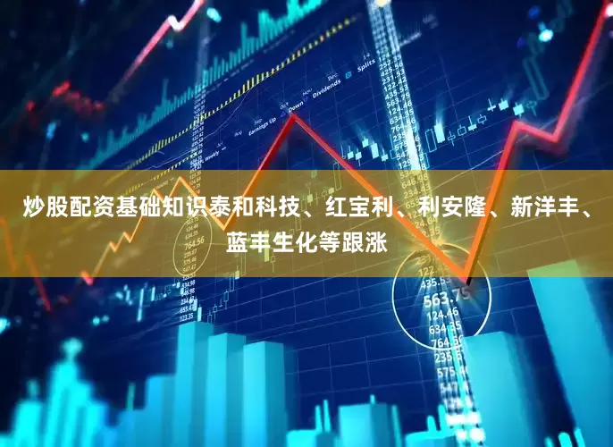 炒股配资基础知识泰和科技、红宝利、利安隆、新洋丰、蓝丰生化等跟涨